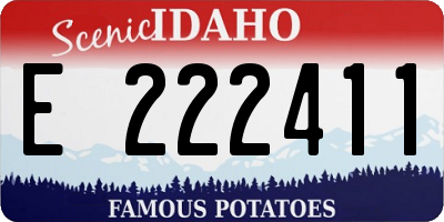 ID license plate E222411