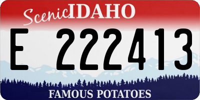 ID license plate E222413