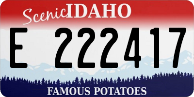 ID license plate E222417