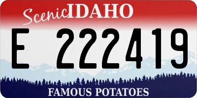 ID license plate E222419