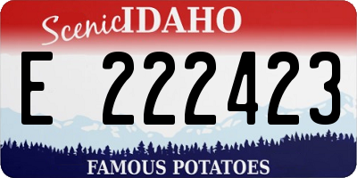 ID license plate E222423