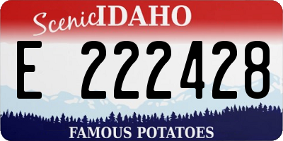 ID license plate E222428