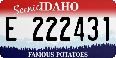 ID license plate E222431