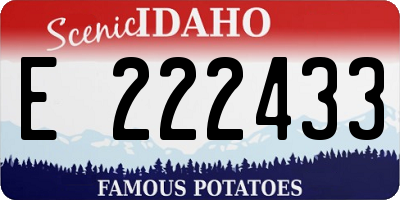 ID license plate E222433