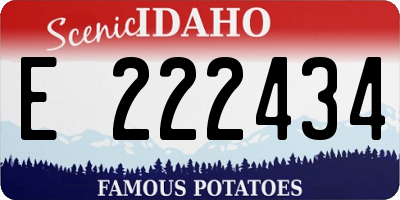 ID license plate E222434