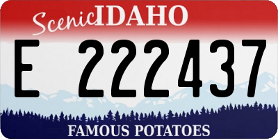 ID license plate E222437