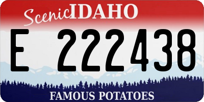 ID license plate E222438