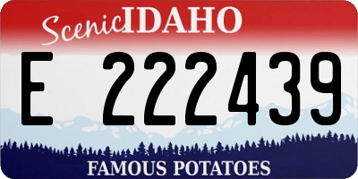ID license plate E222439