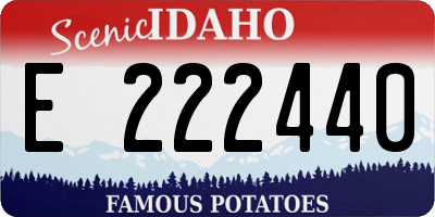 ID license plate E222440