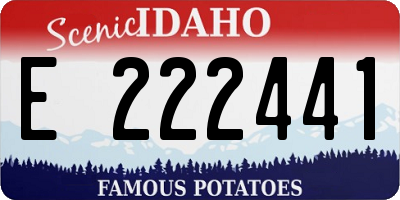 ID license plate E222441