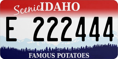 ID license plate E222444