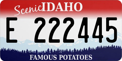 ID license plate E222445