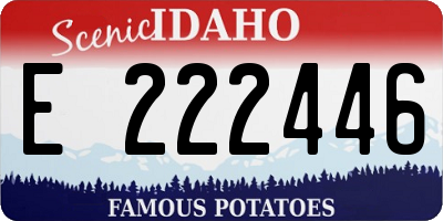 ID license plate E222446