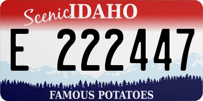 ID license plate E222447