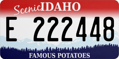 ID license plate E222448