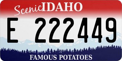 ID license plate E222449