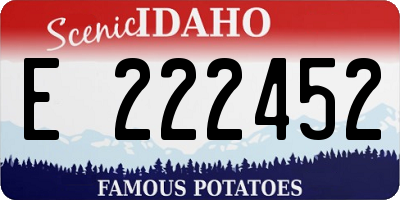 ID license plate E222452