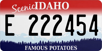 ID license plate E222454