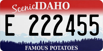 ID license plate E222455