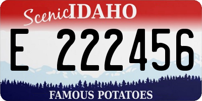 ID license plate E222456