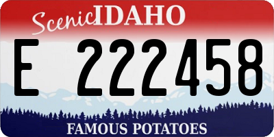 ID license plate E222458