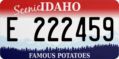 ID license plate E222459