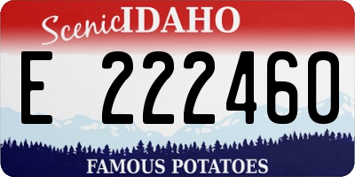 ID license plate E222460