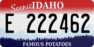 ID license plate E222462