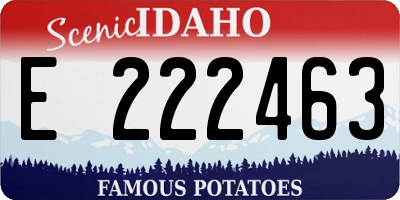 ID license plate E222463