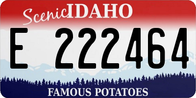 ID license plate E222464