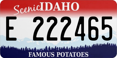 ID license plate E222465