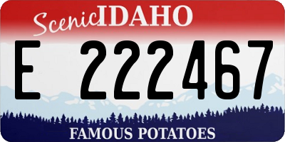 ID license plate E222467