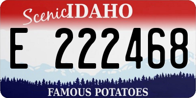 ID license plate E222468