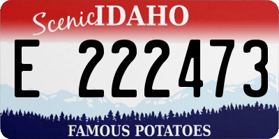 ID license plate E222473