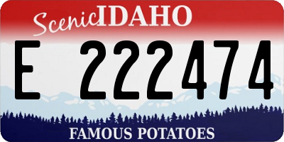ID license plate E222474