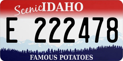 ID license plate E222478