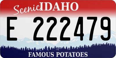 ID license plate E222479