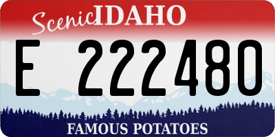 ID license plate E222480