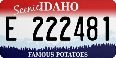 ID license plate E222481