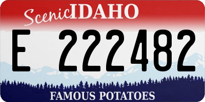 ID license plate E222482