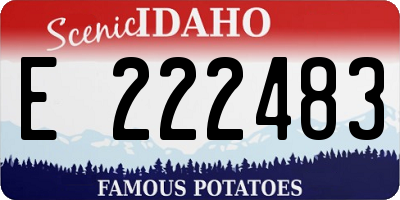 ID license plate E222483