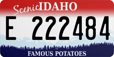 ID license plate E222484