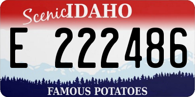 ID license plate E222486