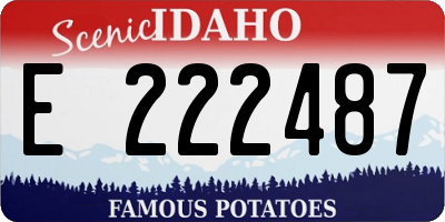 ID license plate E222487