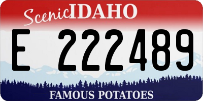 ID license plate E222489