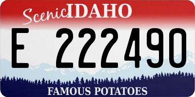 ID license plate E222490