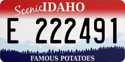 ID license plate E222491