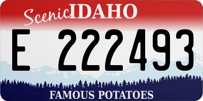 ID license plate E222493