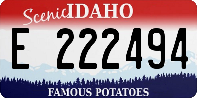 ID license plate E222494