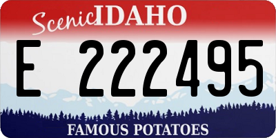 ID license plate E222495